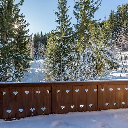 Spacieux A Avec Wi-fi Et Parking, Proche Des Pistes, 5 - Fr-1-562-40 *